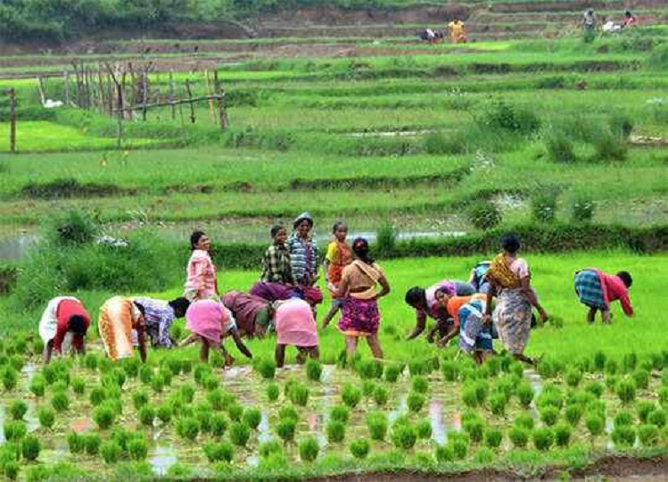 pm kisan yojana: Women farmers will get Rs 4 thousand instead of Rs 2 in the 16th installment! The government has now taken this decision