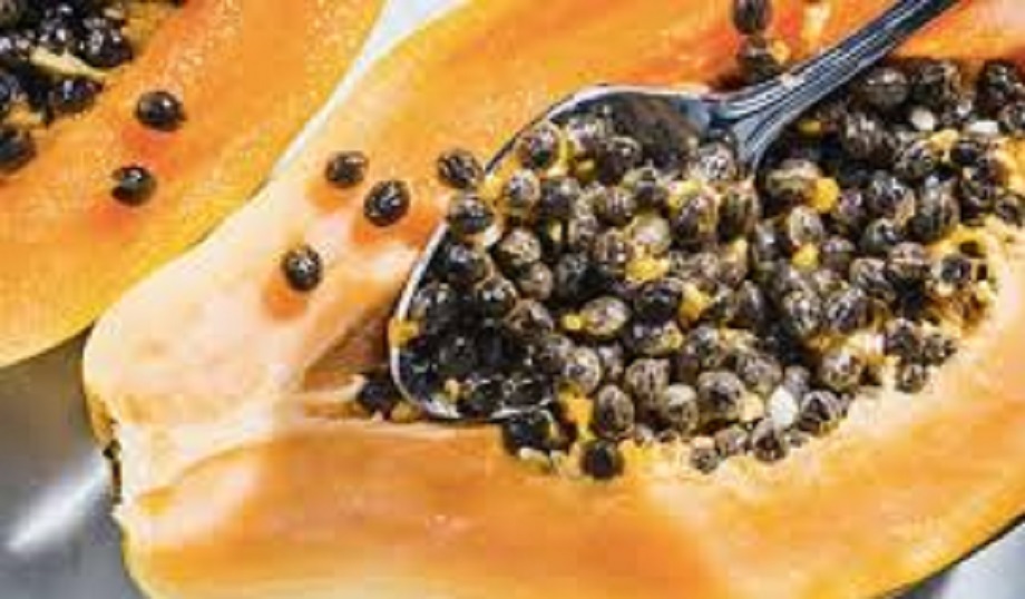 Health Tips: Papaya seeds are very beneficial for health, you get these benefits