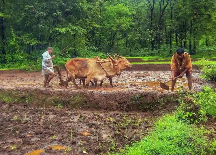 PM-KISAN Yojana: Can a farmer paying income tax avail the benefits of PM Kisan Yojana? Know here