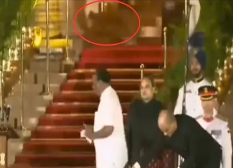 Leopard also attended the swearing-in ceremony of Modi government, video is going viral