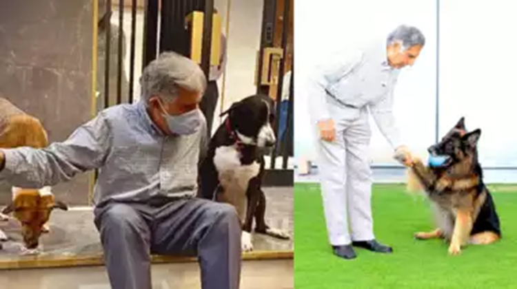 Ratan Tata was a dog lover, he refused to kiss the royal family when his dog fell ill