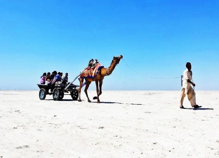 Travel Tips: Gujarat's Kutch is worth seeing at this time, you can also plan to go with your family.