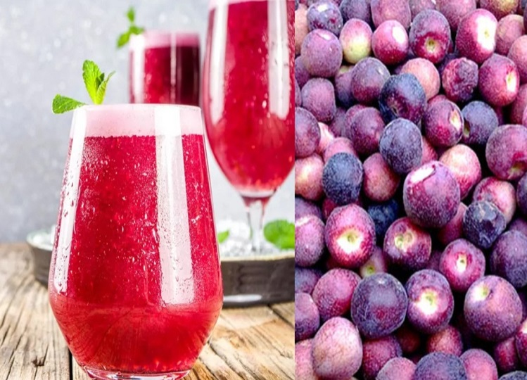 Recipe Tips: Phalsa Sharbat is beneficial for health in summer season, make it with this method