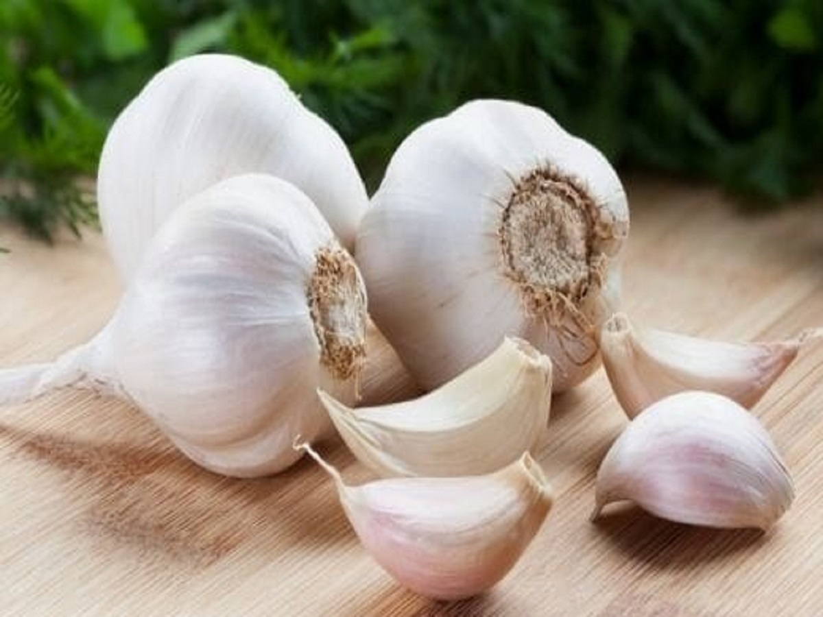 Health Tips: Eating garlic on an empty stomach in the morning offers these amazing health benefits