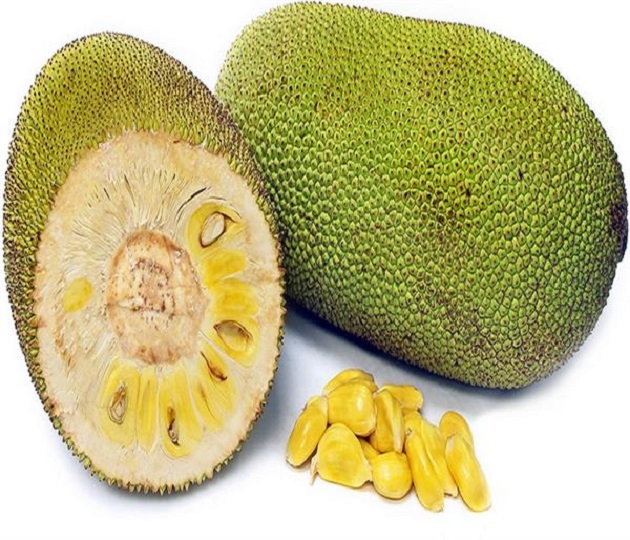 Health Tips: Jackfruit is not only a vegetable but its seeds are also very beneficial, if you know then you will start eating