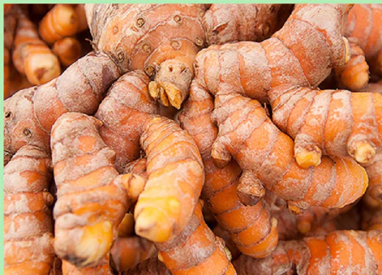 Health Tips: Raw turmeric is very beneficial for health, you should know this