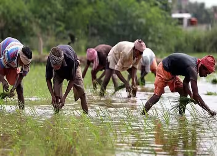 Utility: These farmers will be disappointed, they will not get the next installment of PM Kisan Yojana