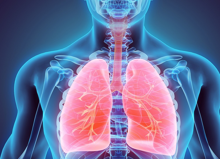 Health Tips: These two things are very beneficial for lungs, consume them