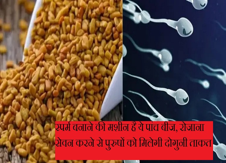 These five seeds are sperm making machines, consuming them daily will give men double strength