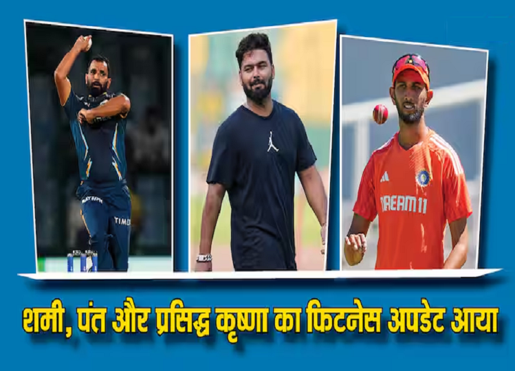 BCCI gave update regarding the fitness of Mohammed Shami, Rishabh Pant and Prasidh Krishna, know whether they will play IPL or not.