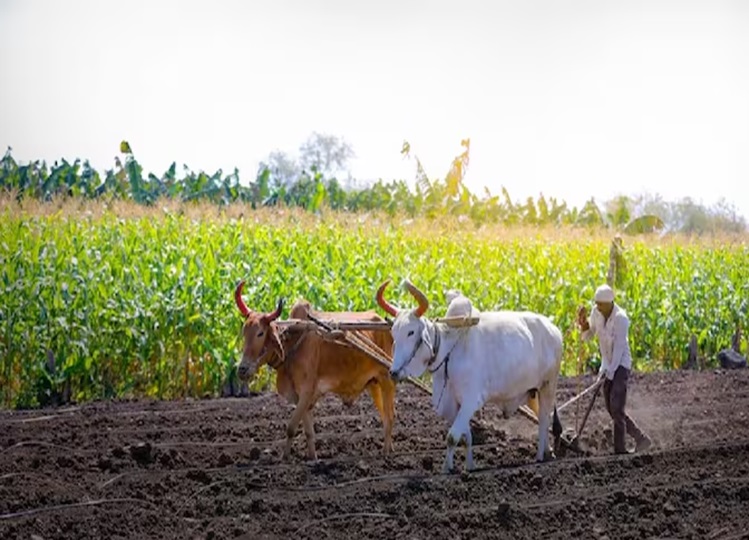 The next installment of PM Kisan Yojana can be released on this day, do this work or else the money will get stuck