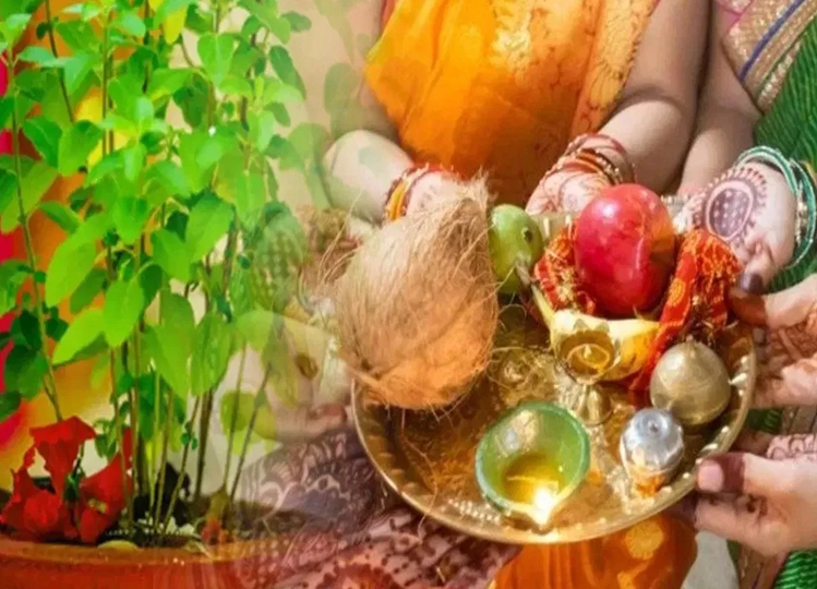 Astrology: While worshipping mother Tulsi, you should always keep these things in mind, every problem of life will go away