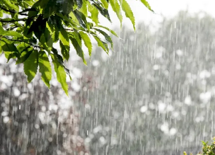 Rajasthan weather update: Alert for rain and hail issued, farmers' concern increases