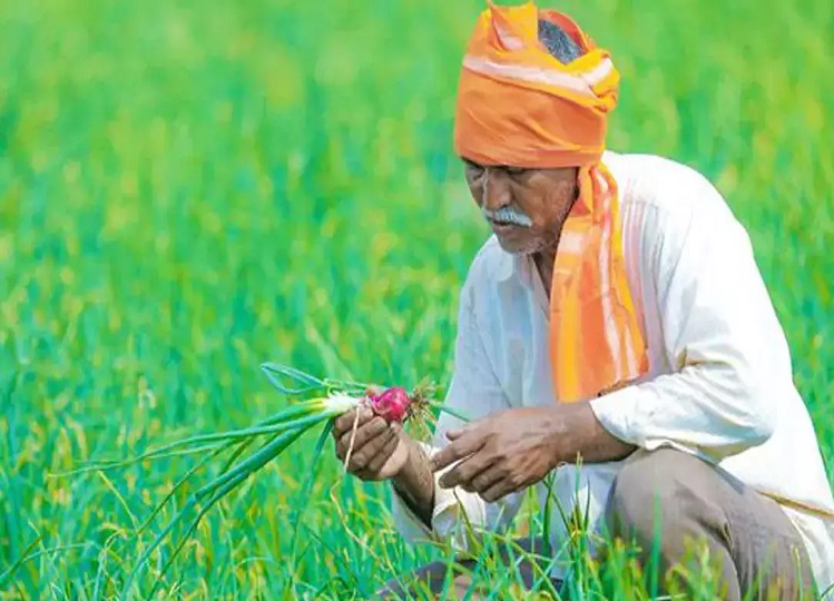 FPO Scheme: Central government gives financial assistance of Rs 15 lakh to farmers, you should know