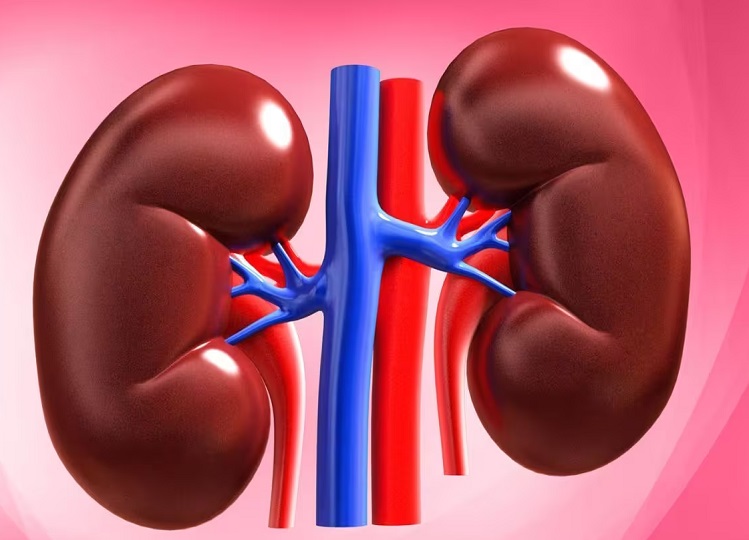 Health Tips: If you see these symptoms, understand that your kidney is rotting, ignoring it will cost you heavily