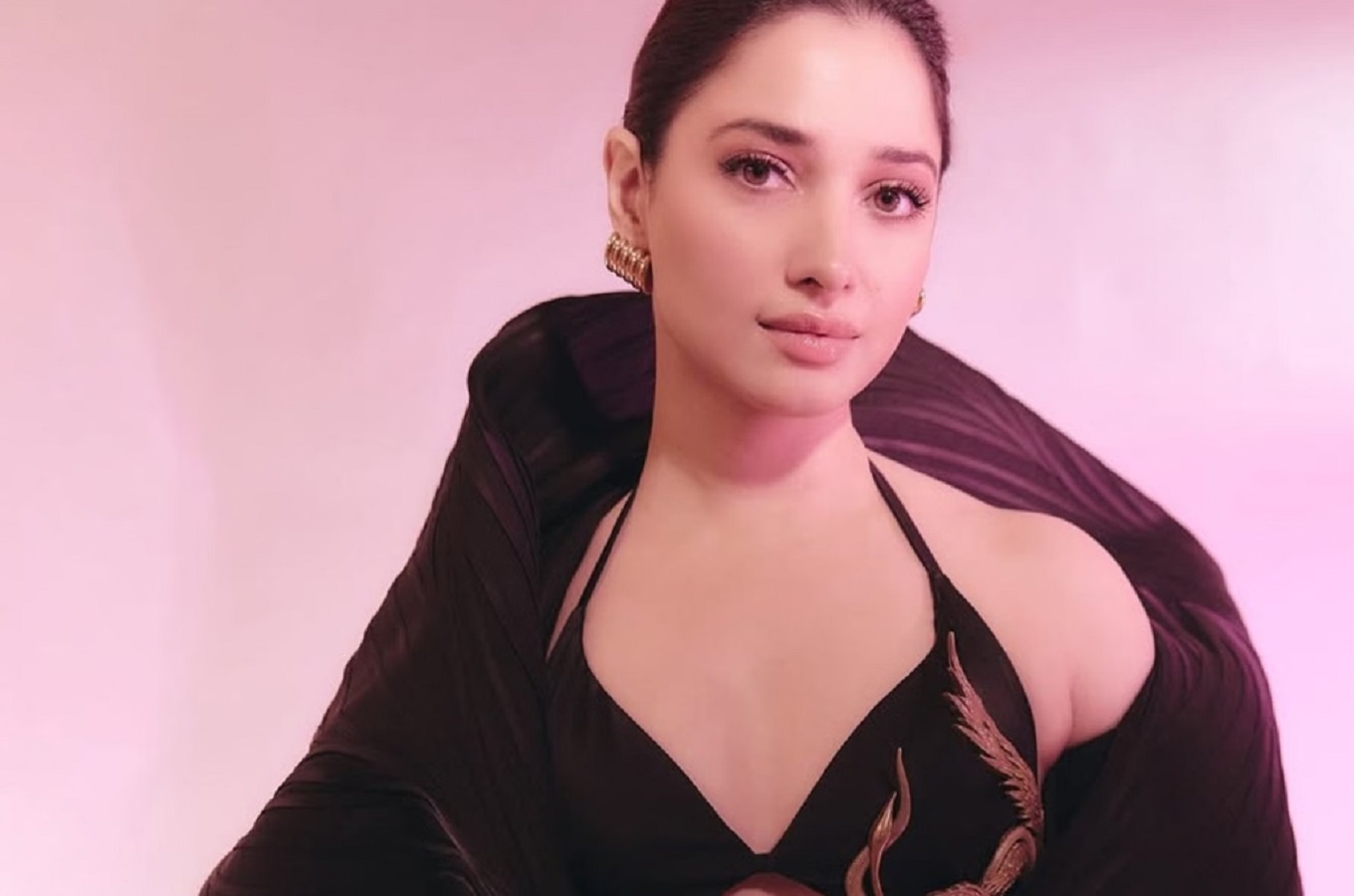 Tamannaah Bhatia will now be seen showcasing her acting skills in this film, the announcement has been made.