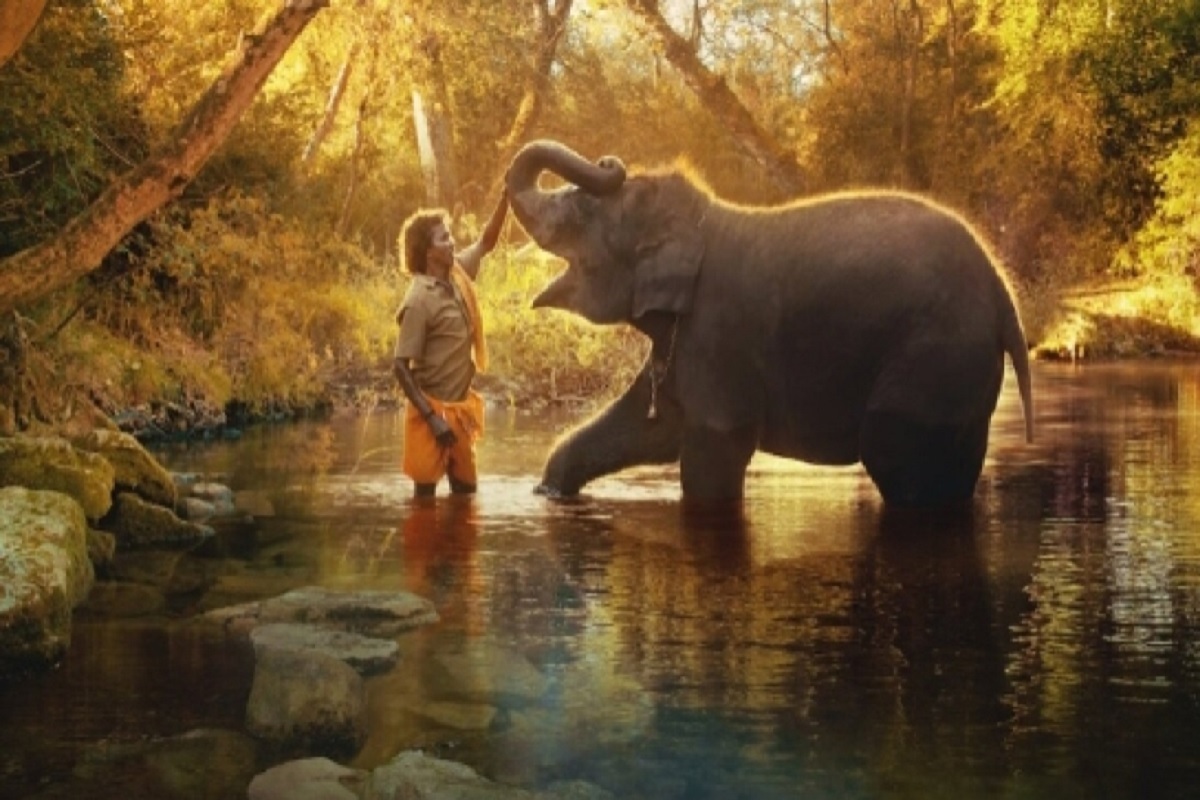 Documentary 'The Elephant Whispers' wins Oscar in 'Documentary Short Subject' category
