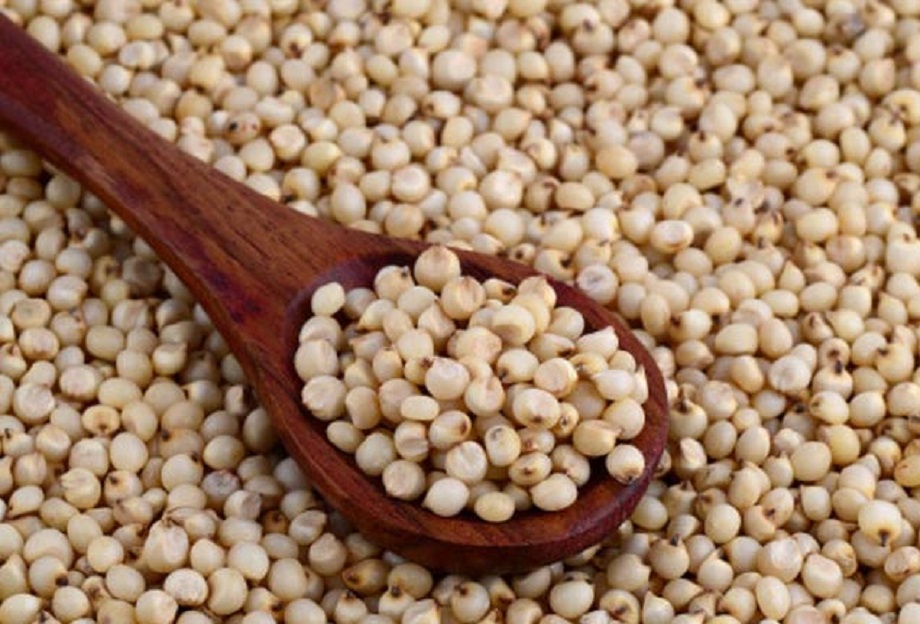Health Tips: Jowar is beneficial for health in many ways, consuming it gives these benefits