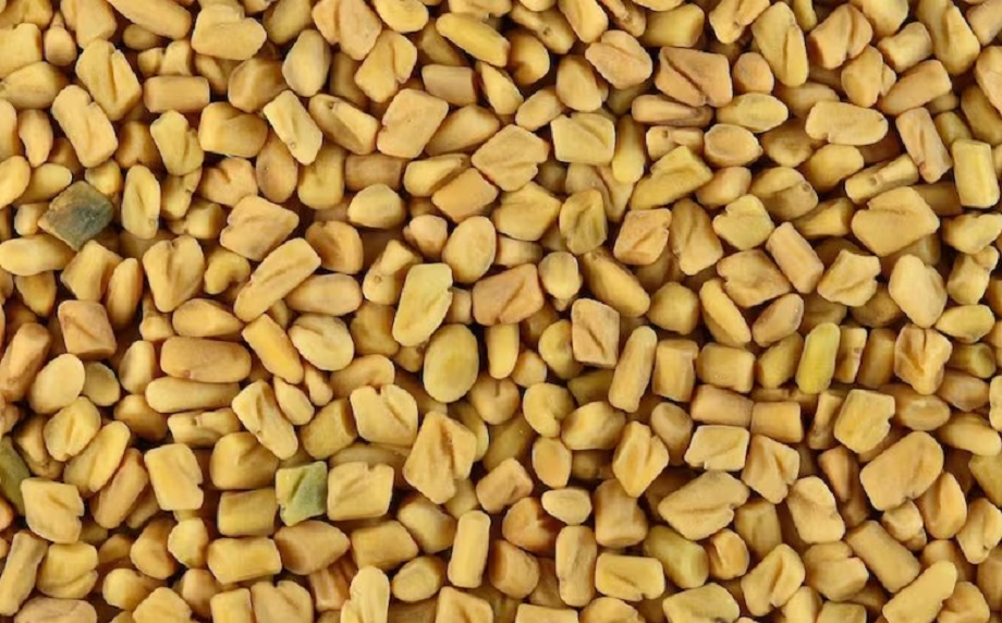 Hair Care Tips: Make a hair mask with fenugreek, these problems will go away by using it