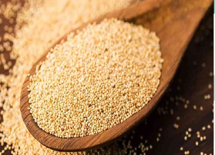 Health Tips: You will get great benefits from consuming poppy seeds, start consuming them too.