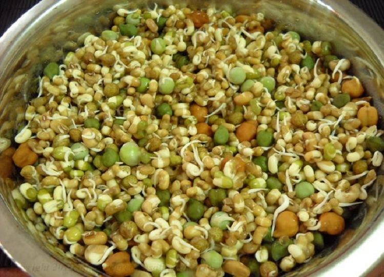 Health Tips: If you include sprouts in your diet, you will get many benefits.