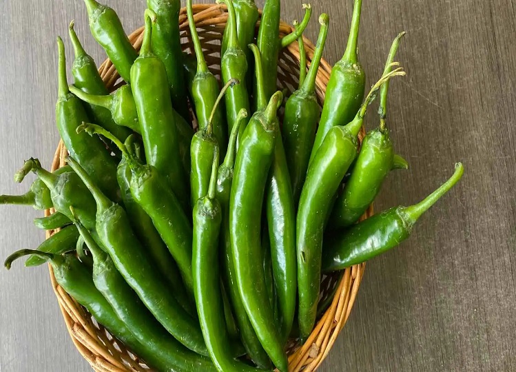 Health Tips: If you do not consume green chili then start it from today itself, you will get many benefits