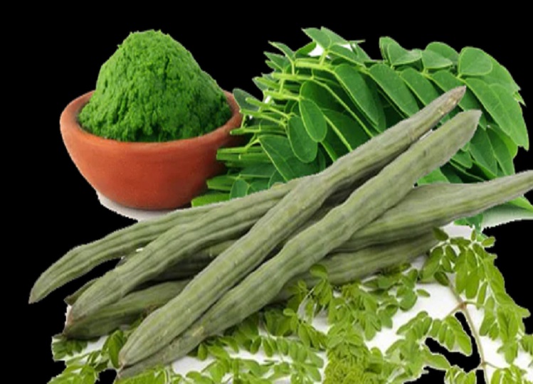 Health Tips: Moringa is very beneficial for women, you will be surprised to know