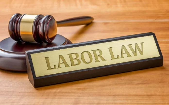 New Labour Law: Employees can carry forward 30 leaves, Company will have to pay money on remaining holidays