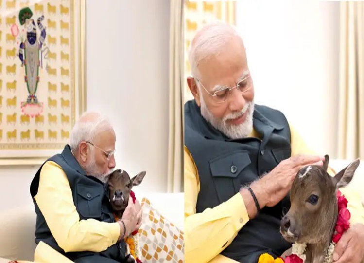 Very beautiful! Arrival of a new member in the Prime Minister's house, your heart will melt after watching the video