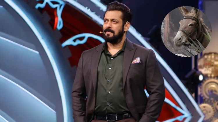 Bigg Boss 18: First elimination happened in Salman Khan's show, this member got out