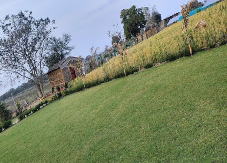 Travel Tips: For Diwali parties, you can also visit Trishala Farmhouse in Jaipur.