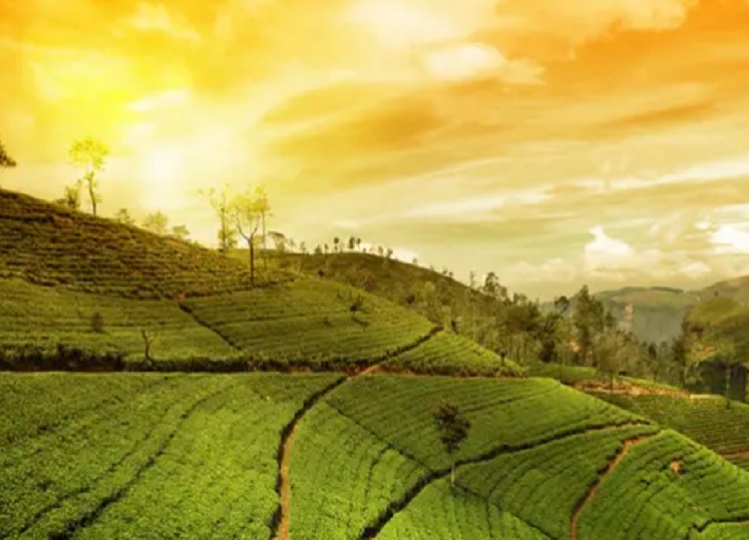 Travel Tips: You can enjoy these activities with your partner in Darjeeling