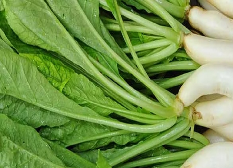 Health Tips: Don't make the mistake of throwing away radish leaves, you will be amazed to know their benefits