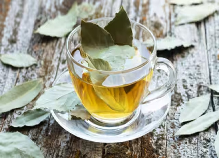 Health Tips: You will get great benefits by drinking hot bay leaf water, if you know then you will start consuming it from today itself.