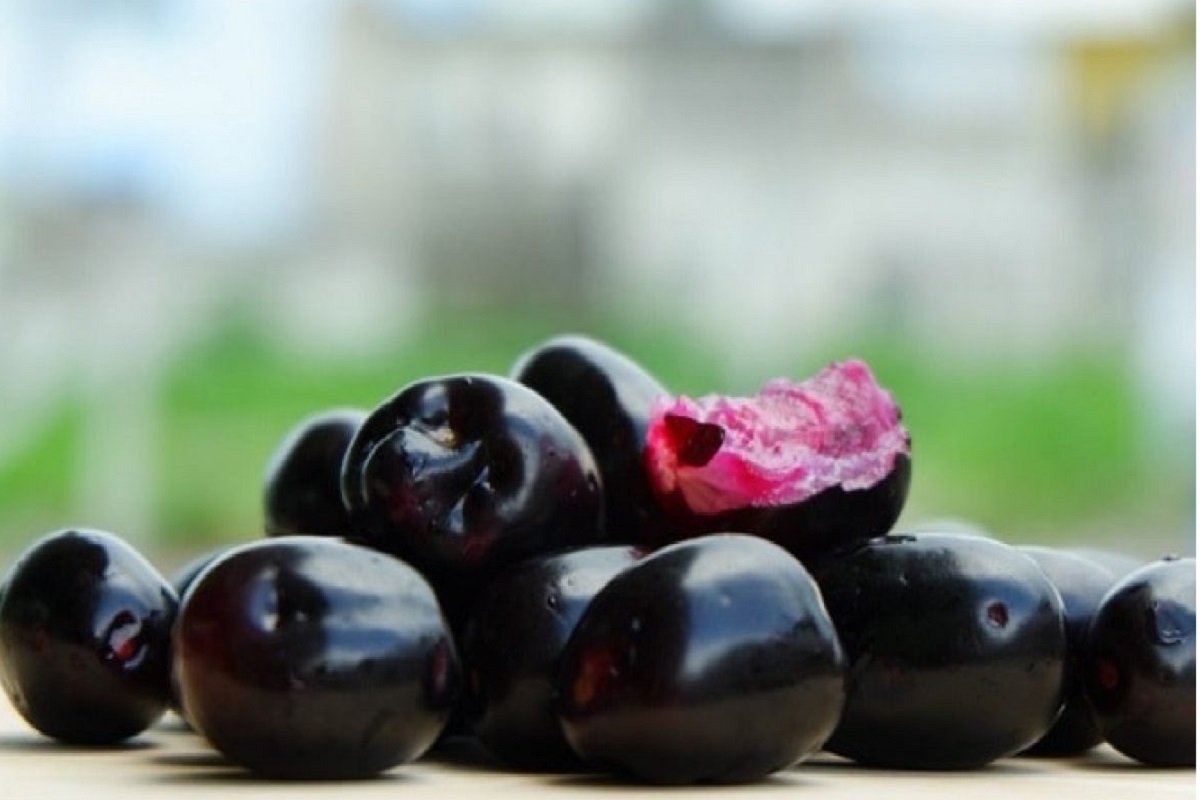 Health Tips : Health benefits of consuming Jamun