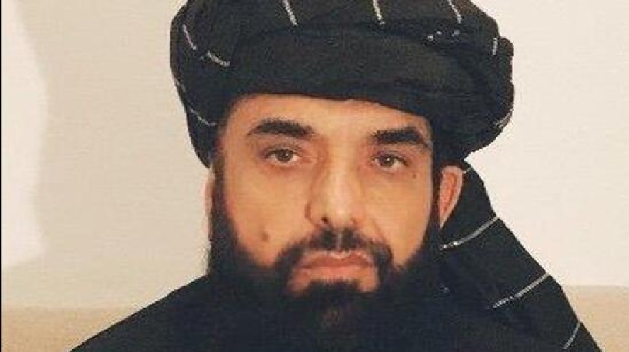 Taliban is trying to normalize and strengthen relations with India - Suhail Shaheen