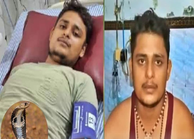 Fatehpur Snake Bite Case: The news of snake bite 7 times in 40 days is false! Officers solved the case, said this about the snake bite marks...