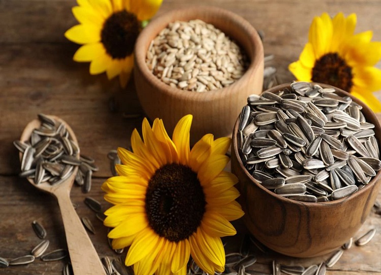 Health Tips: Sunflower seeds are beneficial for health in many ways, you should know this