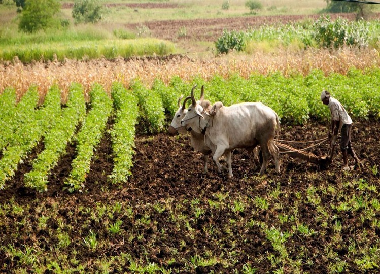 Government scheme: Farmers and cattle owners should apply online by 25 September, they will get this benefit