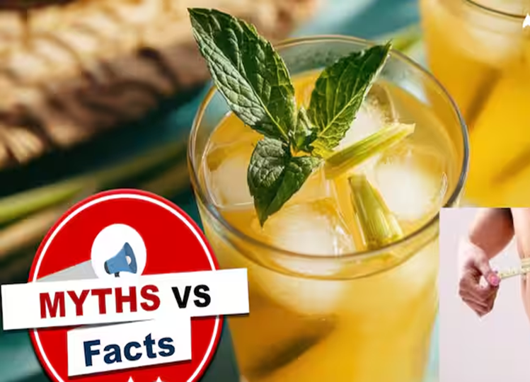 Myths Vs Facts: Drinking lemon water with honey reduces obesity? Know whether this is true or a myth