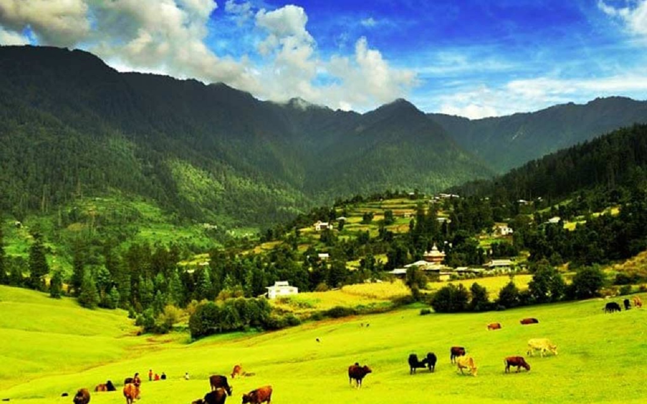 Travel Tips: Sainj Valley is the secret hill station of Himachal Pradesh, make a plan to visit