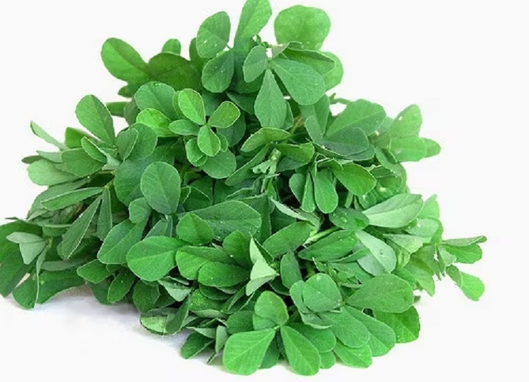 Health Tips: Excessive consumption of fenugreek in winter can spoil your health, know how
