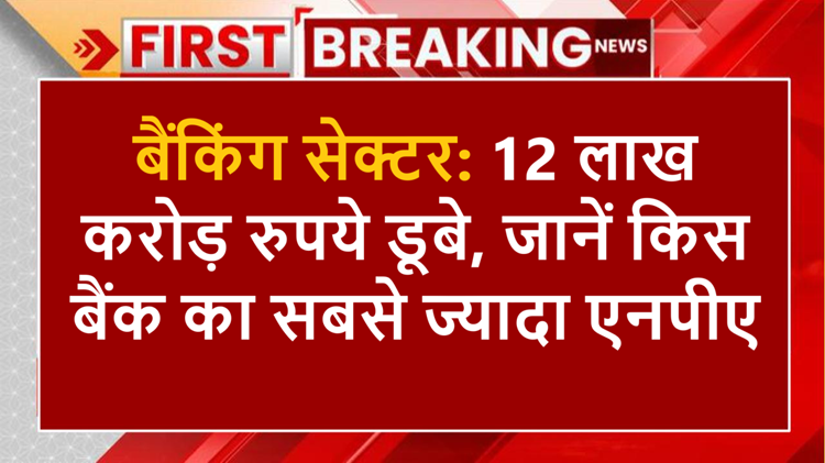 People's 12 lakh crore rupees have been lost in these banks, know which bank has written off the maximum amount