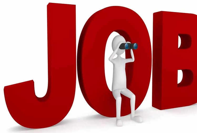 Job News: Big recruitment for the post of Information Assistant in Rajasthan, application can be made from this day