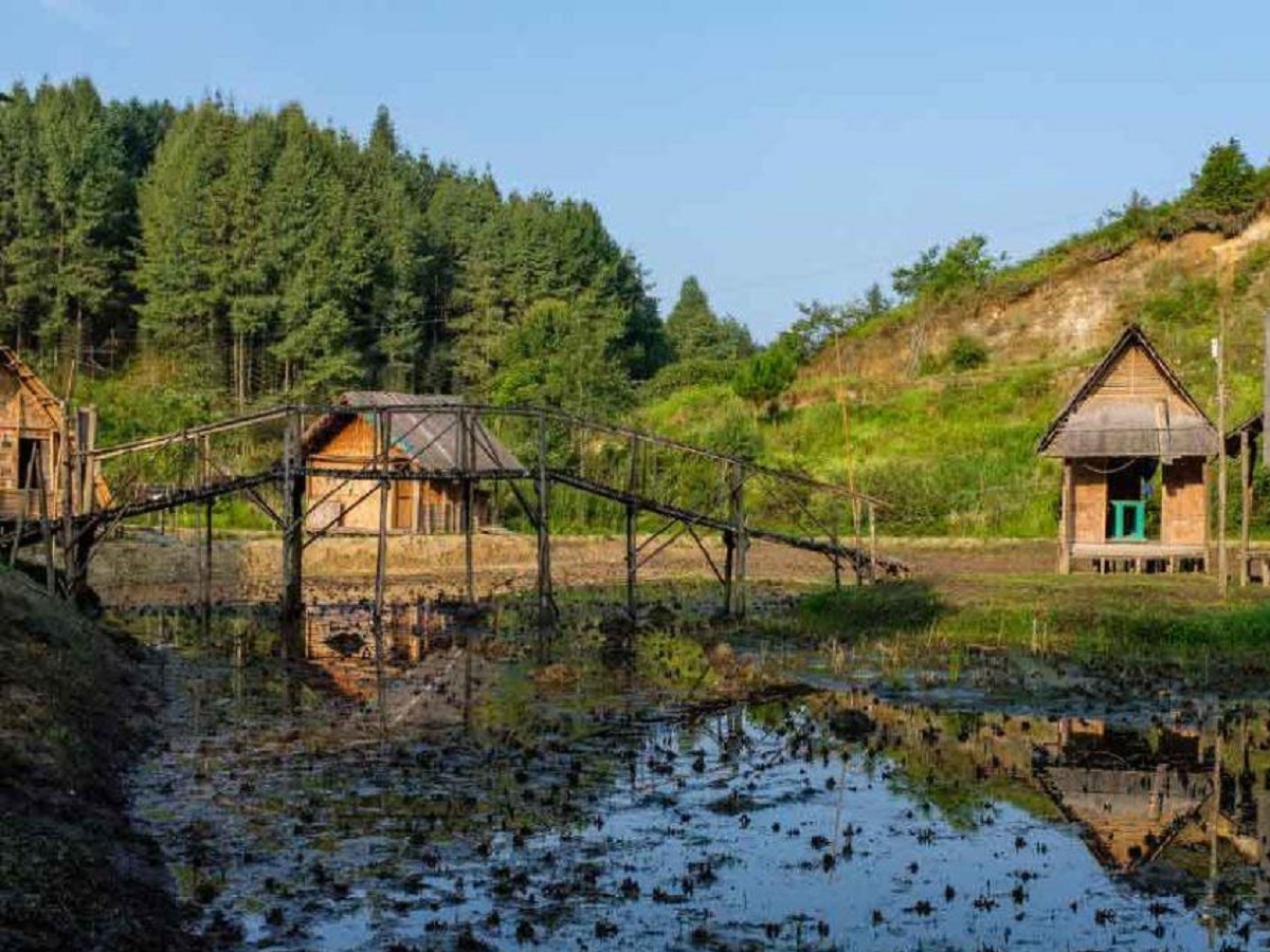 Travel Tips: Ziro Valley is nothing short of paradise for nature lovers 
