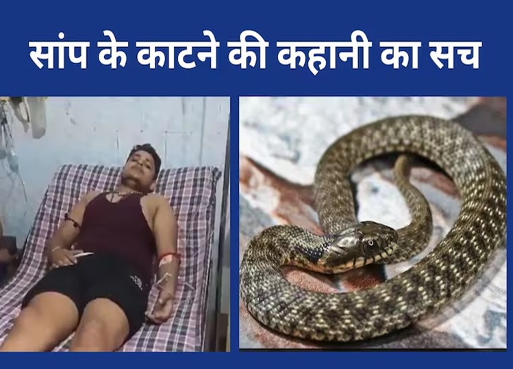 Vikas Dubey of Fatehpur was suffering from snake phobia, the snake bit him only once, not 7 times, this was revealed in the investigation