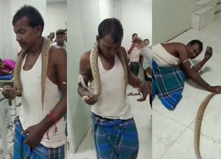 Bihar man gets bitten by snake, goes to hospital with reptile, watch viral video