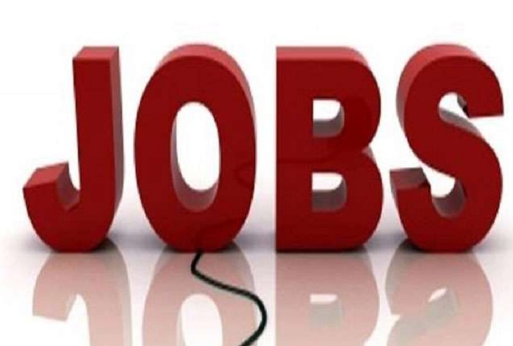 Job News: Recruitment on the posts of Management Trainee, these candidates can apply
