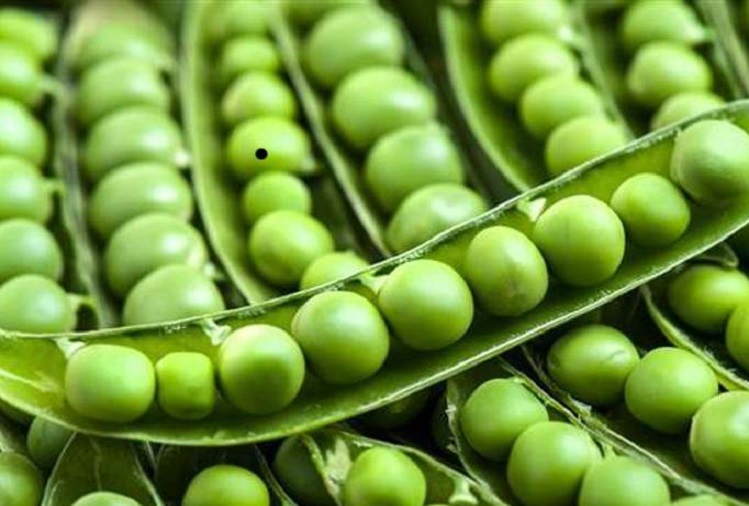 Health Tips: A person suffering from this disease should not consume green peas, may have to face serious consequences