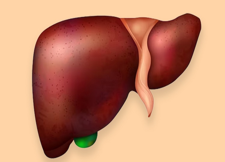 Health Tips: These things clean the dirt accumulated in the liver, include them in the diet